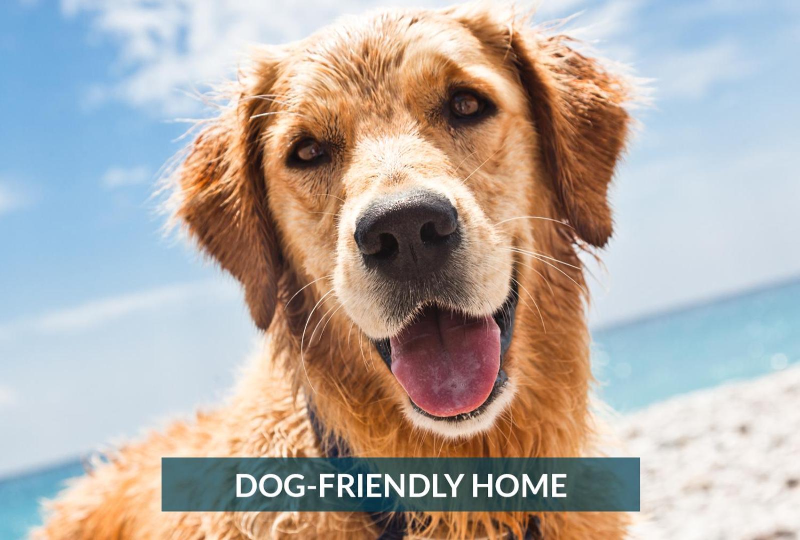 5508 Southern Comfort Dog Friendly Shared Pool كيل ديفيل هيلز المظهر الخارجي الصورة